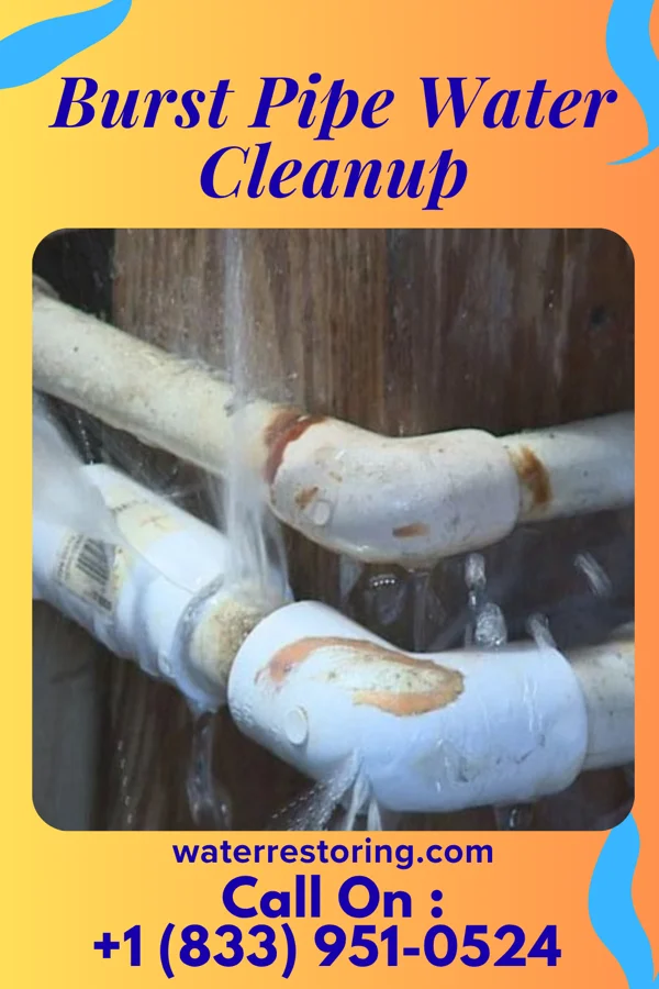 Burst Pipe Water Cleanup in Cedar Hill, TX