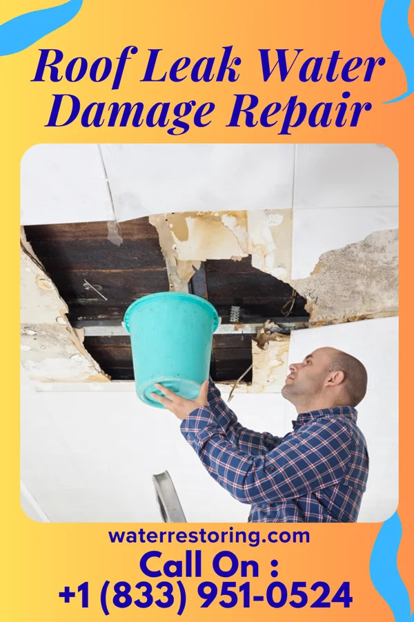 Roof Leak Water Damage Repair in Cedar Hill, TX